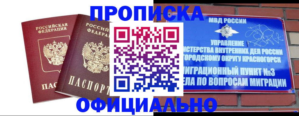 временная регистрация адрес в Елизово